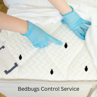 Bed bugs Control Service
