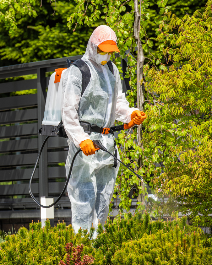 Eco-Friendly Pest Control in patna