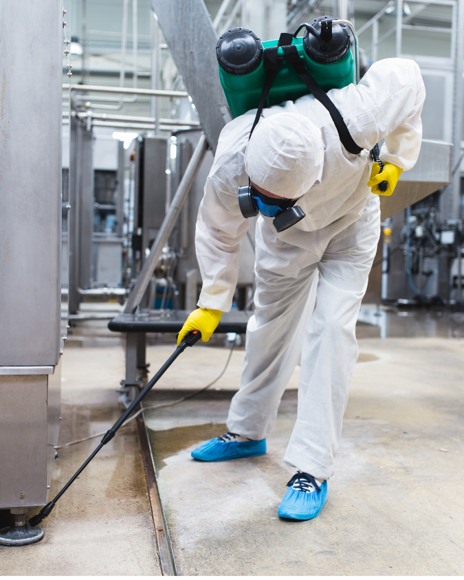 Commercial Pest Control Service Ranchi, Commercial Pest Control Service Patna